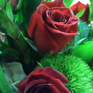 Meet your Posher, Pedroza